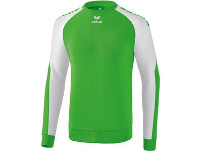ERIMA Fußball - Teamsport Textil - Sweatshirts Essential 5-C Sweatshirt Kids Grün