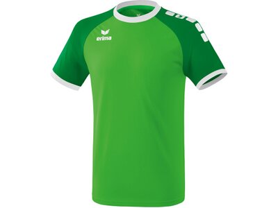 ERIMA Fußball - Teamsport Textil - Trikots Zenari 3.0 Trikot Kids Grün