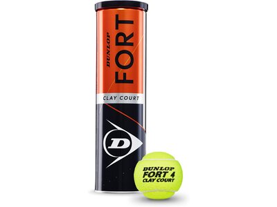 DUNLOP Tennisball "FORT CLAY COURT" 4er Blau