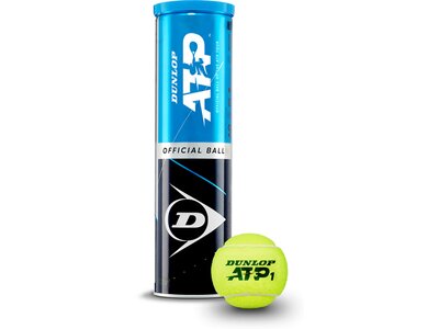 DUNLOP Tennisball "FORT CLAY COURT" 4er Blau