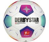 Vorschau: DERBYSTAR Ball Bundesliga Player Special v23