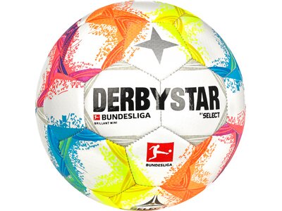 DERBYSTAR Ball BL Brillant Minifußball v22 Bunt