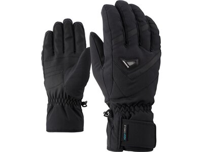 ZIENER Herren Handschuhe GARY AS(R) glove ski alpine Schwarz