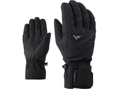 ZIENER Herren Handschuhe GARY AS(R) glove ski alpine Schwarz
