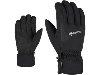 ZIENER Herren Handschuhe GARWEN GTX glove ski alpine Schwarz