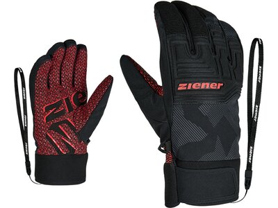 ZIENER Herren Handschuhe GARIM AS(R) glove ski alpine Grau