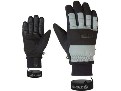 ZIENER Herren Handschuhe GENDO AS(R) glove ski alpine Grün