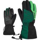 ZIENER Kinder Handschuhe LAVAL AS(R) AW glove junior online kaufen bei  INTERSPORT!