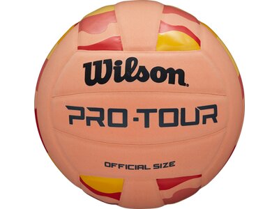 WILSON Ball PRO TOUR VB STRIPE Braun