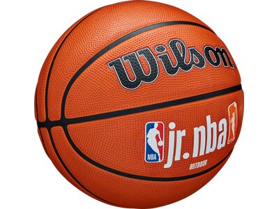 WILSON Ball JR NBA FAM LOGO AUTH OUTDOOR BSKT Braun