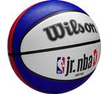 Vorschau: WILSON Ball JR NBA DRV LIGHT FAM LOGO BSKT