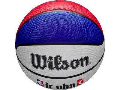 WILSON Ball JR NBA DRV LIGHT FAM LOGO BSKT Silber