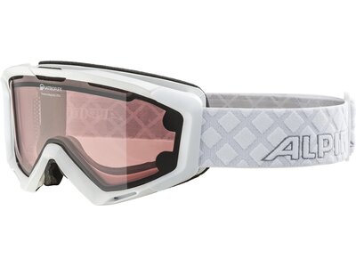 ALPINA Skibrille "Panoma Magnetic Q+S" Silber