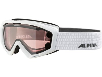 ALPINA Ski- und Snowboardbrille Panoma S Magnetic Silber