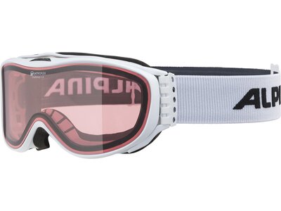 ALPINA Ski- und Snowboardbrille "Challenge 2.0 QH" Silber