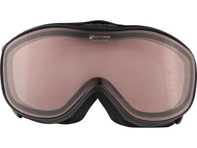 ALPINA Ski- und Snowboardbrille "Challenge 2.0 QH" Grau