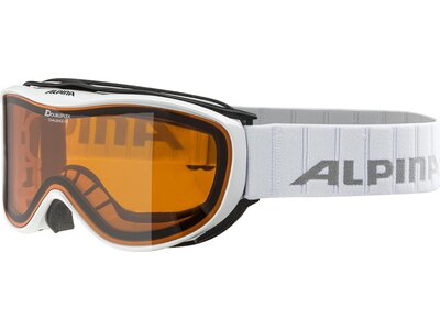 ALPINA Skibrille Freespirit 2.0 Braun