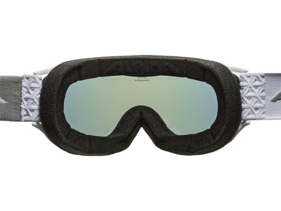ALPINA Ski- und Snowboardbrille "Freespirit 2.0 HM" Braun