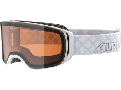 ALPINA Ski- und Snowboardbrille OTG Arris Blau