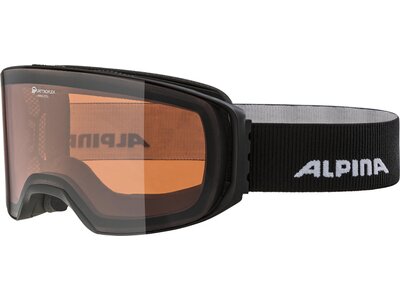 ALPINA Ski- und Snowboardbrille OTG Arris Braun