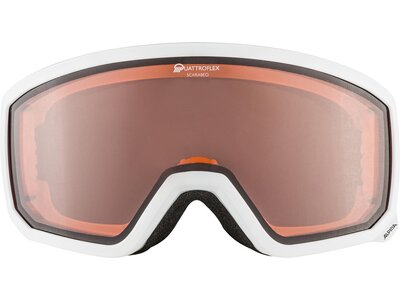 ALPINA Ski- und Snowboardbrille "Scarabeo QH" Braun