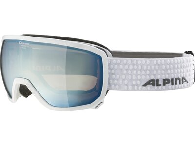 ALPINA Skibrille/Snowboardbrille "Scarabeo MM" Silber