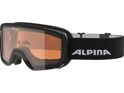 ALPINA Skibrille Scarabeo S DH Grau