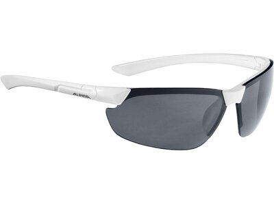 ALPINA Sportbrille / Sonnenbrille "Draff" Grau