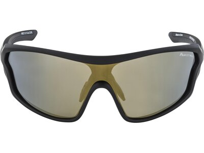ALPINA Sportbrille / Sonnenbrille "Lyron Shield" Grau