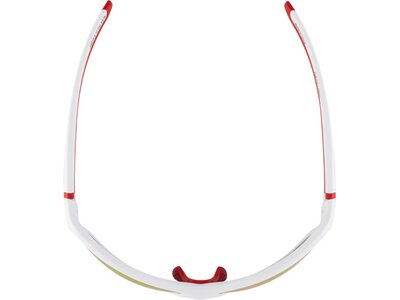 ALPINA Sportbrille / Sonnenbrille "Lyron-Mirror" Braun