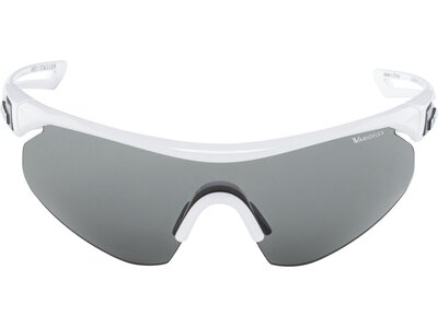 ALPINA Sportbrille / Sonnenbrille "Nylos Shield" Grau