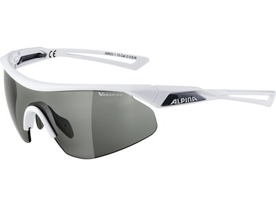 ALPINA Sportbrille / Sonnenbrille "Nylos Shield" Grau