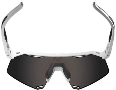 Ultra Sunglasses 0010 -