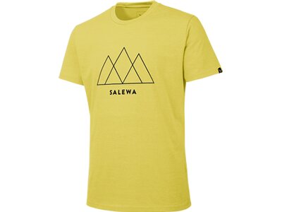 SALEWA Herren Shirt Overlay Dry M S/s TEE Braun