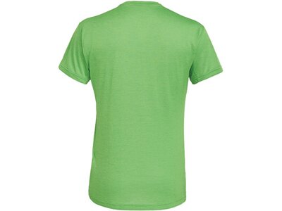 SALEWA Herren Shirt Puez Melange Dry M S/s TEE Grün