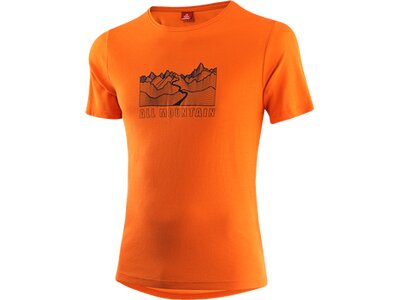 LÖFFLER Herren Shirt M PRINTSHIRT ALL MOUNTAIN TRAN Orange