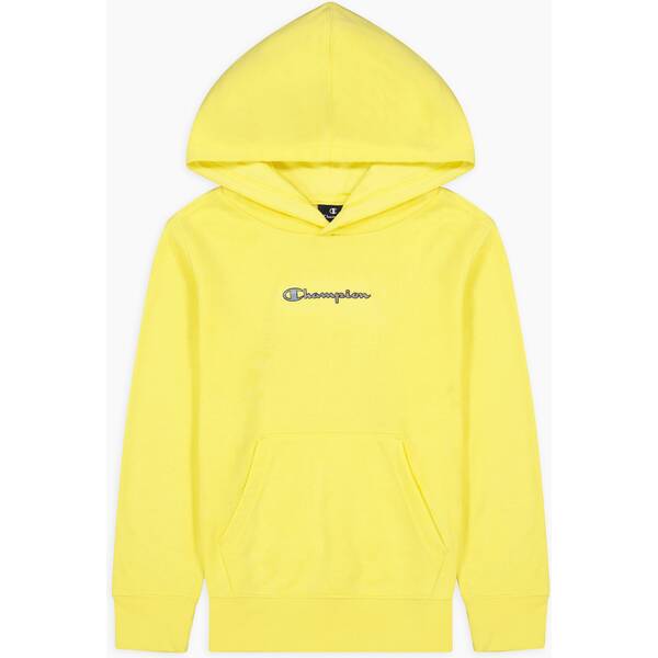 Hooded Sweatshirt YS008 L