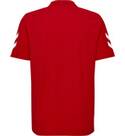 Vorschau: HUMMEL Fußball - Teamsport Textil - Poloshirts Cotton Poloshirt