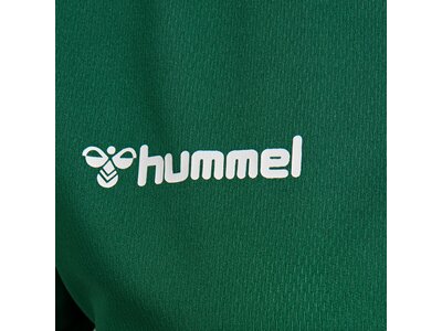 HUMMEL Fußball - Teamsport Textil - Trikots Authentic Poly Trikot kurzarm Damen Grün