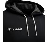 Vorschau: HUMMEL Fußball - Teamsport Textil - Sweatshirts Authentic Poly Hoody