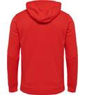 Vorschau: HUMMEL Fußball - Teamsport Textil - Sweatshirts Authentic Poly Kapuzenjacke