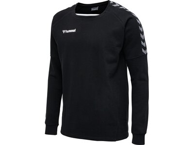 HUMMEL Fußball - Teamsport Textil - Sweatshirts Authentic Training Sweatshirt Schwarz