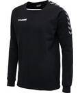 Vorschau: HUMMEL Fußball - Teamsport Textil - Sweatshirts Authentic Training Sweatshirt