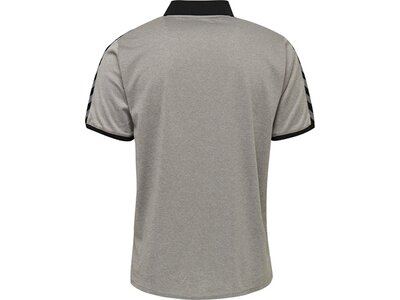 HUMMEL Fußball - Teamsport Textil - Poloshirts Authentic Functional Poloshirt Grau