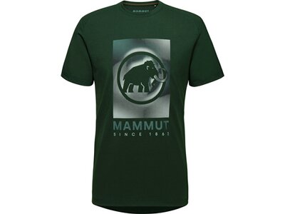 MAMMUT Herren Shirt Trovat T-Shirt Men Mammut Grün