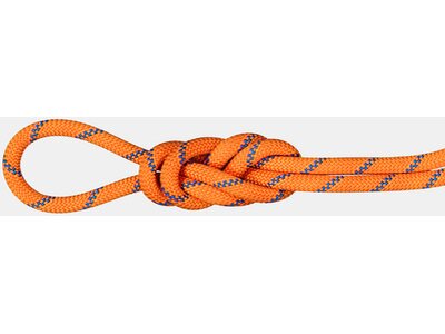 MAMMUT 9.0 Alpine Sender Dry Rope Orange
