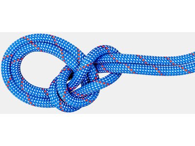 MAMMUT 9.5 Crag Classic Rope Blau