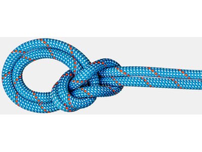 MAMMUT 9.8 Crag Classic Rope Blau