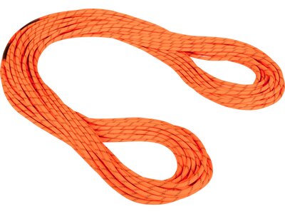 MAMMUT 8.0 Alpine Dry Rope Gelb