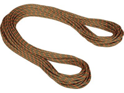 MAMMUT 8.0 Alpine Dry Rope Grün